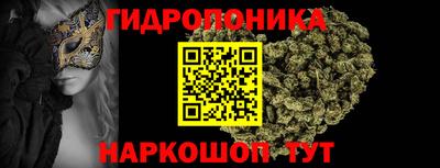 прущие грибы Ирбит