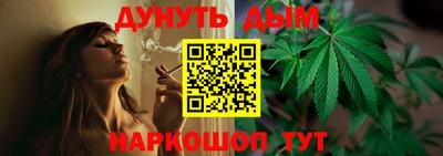 прущие грибы Ирбит