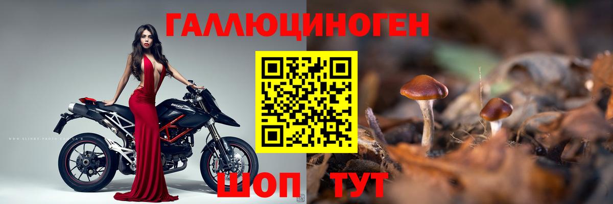 Галлюциногенные грибы Cubensis Щёкино